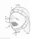Fig. 01 - FACIAL MASK