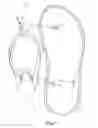 Fig. 02 - Modular sandal