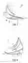 Fig. 06 - Footwear arch support