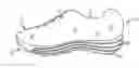 Fig. 01 - Article of footwear with lightweight sole assembly
