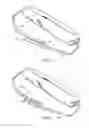 Fig. 06 - Cape with detachable or concealable sleeves