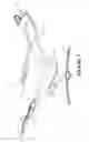 Fig. 08 - Chair and supports