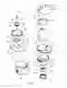Fig. 02 - Grinder
