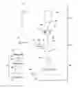 Fig. 01 - Surface cleaning apparatus with debris ejector