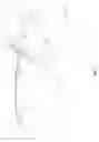 Fig. 02 - Eye examination apparatus