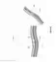 Fig. 04 - IMPROVED METHODS AND APPARATUS FOR CORTICAL STIMULATION MAPPING DURING SURGICAL PROCEDURES