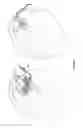 Fig. 10 - IMPROVED METHODS AND APPARATUS FOR CORTICAL STIMULATION MAPPING DURING SURGICAL PROCEDURES