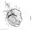 Fig. 35 - IMPROVED METHODS AND APPARATUS FOR CORTICAL STIMULATION MAPPING DURING SURGICAL PROCEDURES