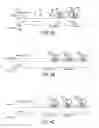 Fig. 05 - SYNCHRONIZED MULTI-MODULE PULSED ARTERIAL SPIN LABELED MAGNETIC RESONANCE IMAGING
