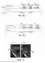 Fig. 06 - SYNCHRONIZED MULTI-MODULE PULSED ARTERIAL SPIN LABELED MAGNETIC RESONANCE IMAGING