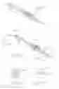 Fig. 15 - Endoscopic stone-extraction device