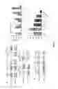 Fig. 07 - MEDIUM SUPPLEMENT TO INCREASE THE EFFICIENCY OF OOCYTE MATURATION AND EMBRYO CULTURE IN VITRO
