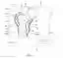 Fig. 02 - Patient-specific fracture fixation instrumentation and method