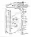 Fig. 01 - Catheter apparatuses, systems, and methods for renal neuromodulation