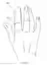 Fig. 09 - Dental device