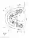 Fig. 09 - Removable orthodontic correction device