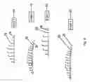 Fig. 07 - Decorative Graduated Compression sock