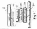 Fig. 08 - Decorative Graduated Compression sock