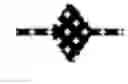 Fig. 02 - Bacterially derived intact minicells that encompass plasmid free DNA and methods of using the same