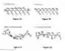 Fig. 02 - Peptide-polypeptide co-assembled nanoparticles for drug delivery