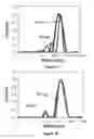 Fig. 09 - Peptide-polypeptide co-assembled nanoparticles for drug delivery