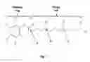 Fig. 02 - Method of improving visual processing, visual acuity, or both by administering compositions comprising RRR-alpha-tocopherol and carotenoid to infants