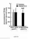 Fig. 22 - Compositions and methods for promoting intestinal stem cell and/or non-stem progenitor cell function