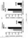 Fig. 40 - Compositions and methods for promoting intestinal stem cell and/or non-stem progenitor cell function