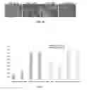 Fig. 09 - Methods and compositions to reduce oxidative stress