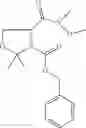 Fig. 100 - Method of treating polycystic kidney diseases with ceramide derivatives
