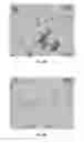Fig. 04 - Pharmaceutical composition comprising 3-beta-hydroxy-5-alpha-pregnan-20-one with improved storage and solubility properties