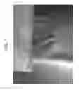 Fig. 02 - Pancreatic stem cells and uses thereof