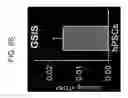 Fig. 11 - Pancreatic stem cells and uses thereof