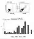 Fig. 17 - Pancreatic stem cells and uses thereof