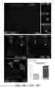 Fig. 18 - Pancreatic stem cells and uses thereof