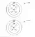 Fig. 01 - Localized immunosuppression of allografts for peripheral nerve repair