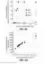 Fig. 06 - COMPOSITIONS AND METHODS FOR THE DELIVERY OF MOLECULES INTO LIVE CELLS