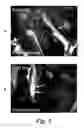 Fig. 06 - Topical application of nerve labeling dyes for image-guided surgery