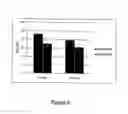 Fig. 06 - Porous Structures of Microbial-Derived Cellulose In Vivo Implantation