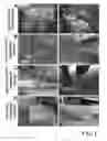 Fig. 02 - Tissue graft