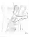 Fig. 02 - Respiratory pressure therapy device