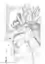 Fig. 04 - Respiratory pressure therapy device