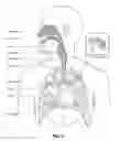Fig. 05 - Respiratory pressure therapy device