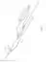 Fig. 03 - Axial lengthening thrombus capture system