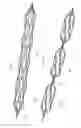 Fig. 71 - Axial lengthening thrombus capture system