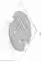 Fig. 02 - Facial mask tray