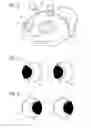 Fig. 05 - Kart with movable visual effect
