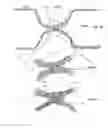 Fig. 05 - Filter medium having large fold spacing