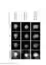 Fig. 09 - Alloy microparticles and method for producing same, alloy microparticle cluster, catalyst, and method for producing same