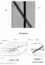 Fig. 04 - Microfluidic device and method of manufacture